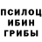 Псилоцибиновые грибы мицелий Ryan Macintosh
