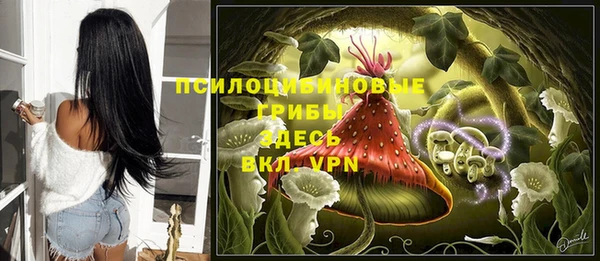 spice Волосово