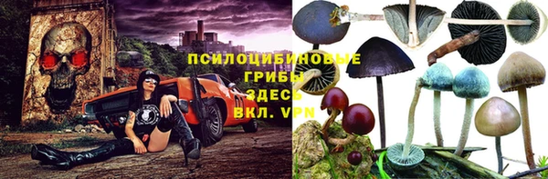 молекула духа Вязники